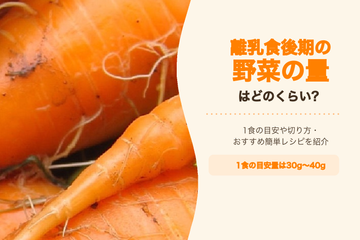 離乳食後期の野菜の量はどのくらい？1食の目安や切り方・おすすめ簡単レシピを紹介
