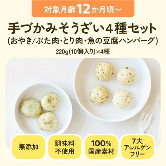 離乳食 手づかみそうざい４種セット(おやき/ぶた肉・とり肉・魚の豆腐ハンバーグ)